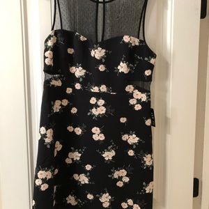 Express Dress NWT size 12